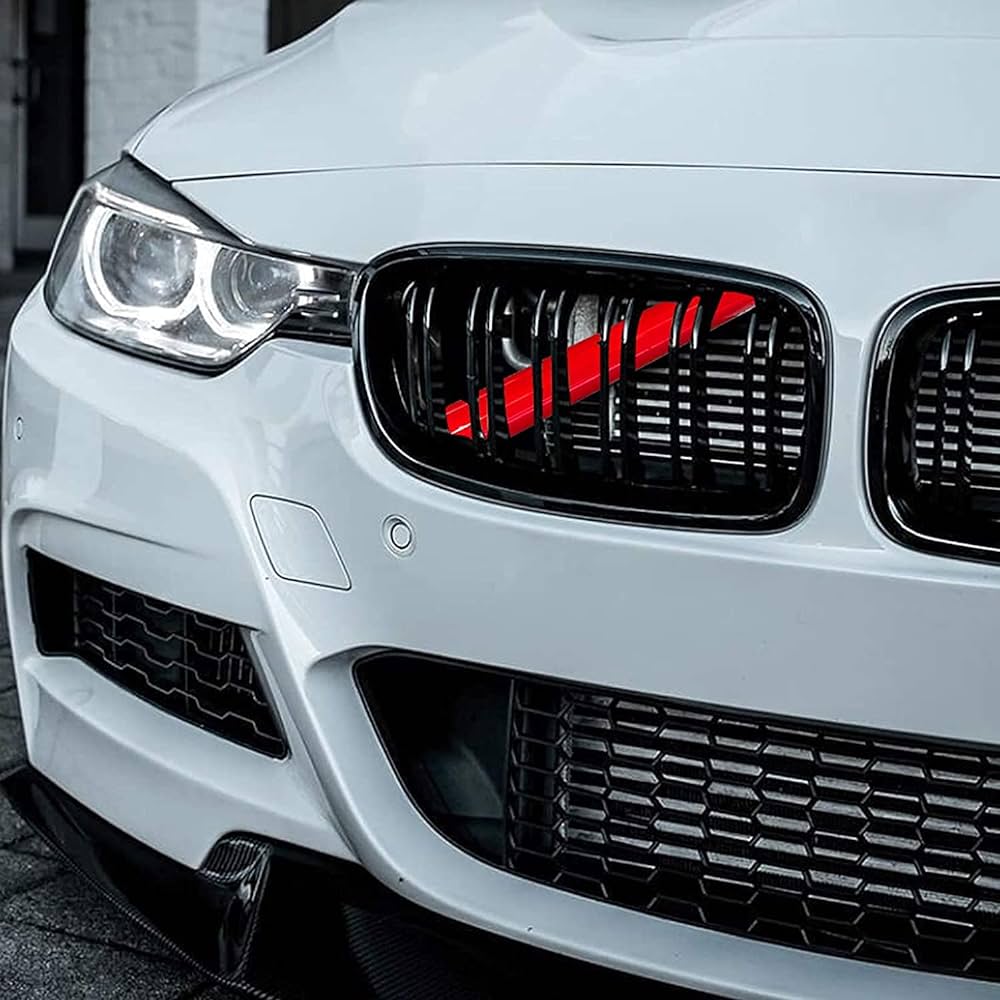 Kidney Grille Insert Trim (All F Series)