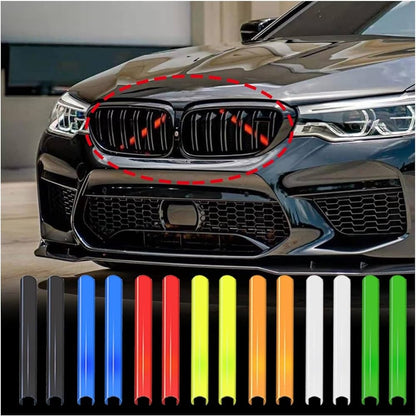 Kidney Grille Insert Trim (All F Series)